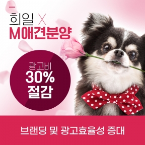 M 애견분양 성공사례